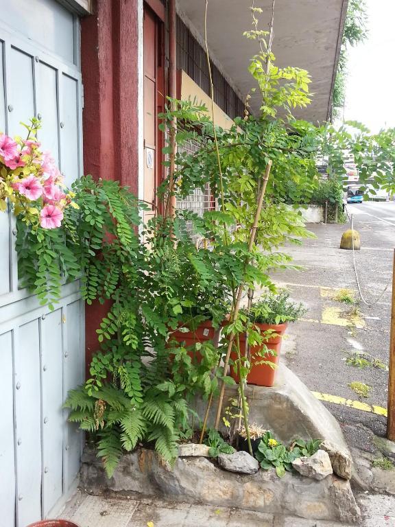 Hotel Lombardia Seveso 部屋 写真